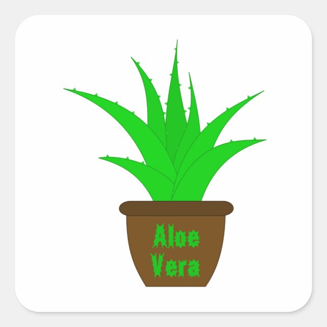 Aloe Vera med etikett (Framsida)
