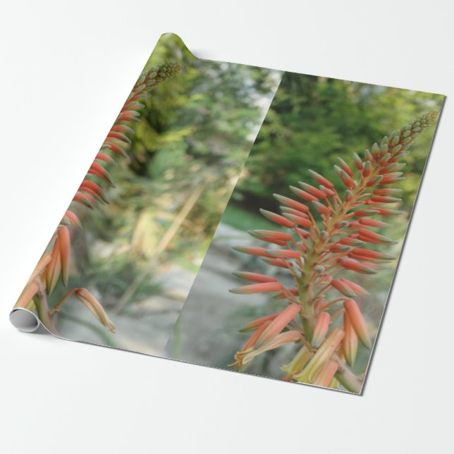 Aloe Vera Photo Linen Wrapping Papper, 30 x 6 ft Presentpapper (Utrullad)