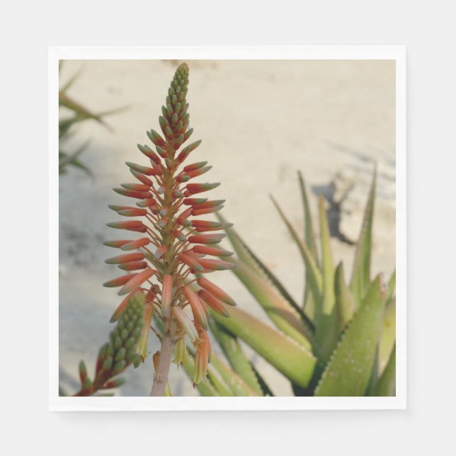 Aloe Vera Photo Luncheon Napkin Pappersservett (Framsidan)