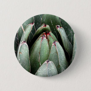 Aloe Vera Photo Plant Älskare Round Badge Knapp