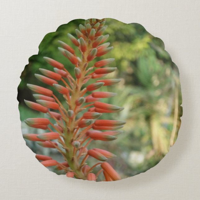 Aloe Vera Plant Photo Round Cushion Rund Kudde (Framsidan)