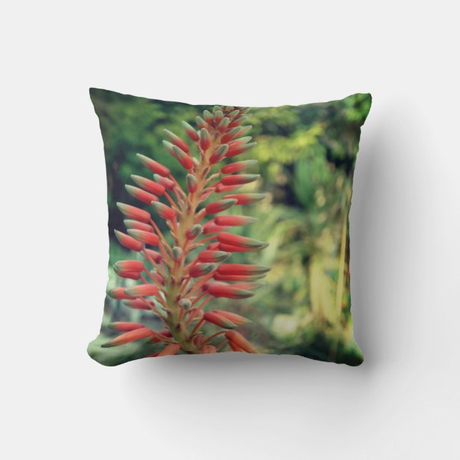 Aloe Vera Plant Photo Throw Cushion, Aloe Cushion Kudde (Framsida)