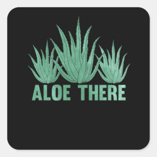 Aloe Vera Pun Plants Women Manar Succulents Fyrkantigt Klistermärke