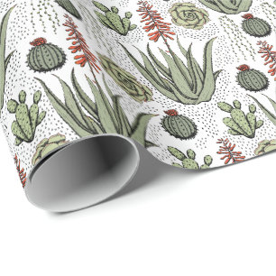 Aloe Vera Sukkulent Kaktus Vit Presentpapper