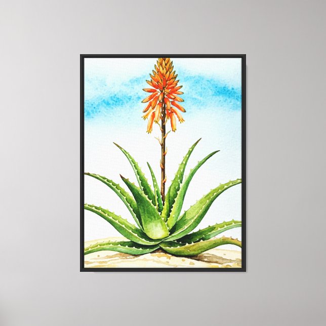 Aloe vera-växt canvastryck (Framsida)