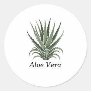 Aloe Vera Växt Örtapotek Runt Klistermärke