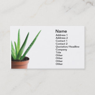 Aloe Vera Visitkort