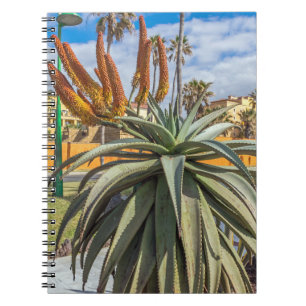 AloeVera växt och blommaanteckningsbok Anteckningsbok