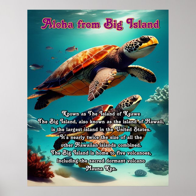 Aloha Big Island Hawaii Poster (Framsidan)