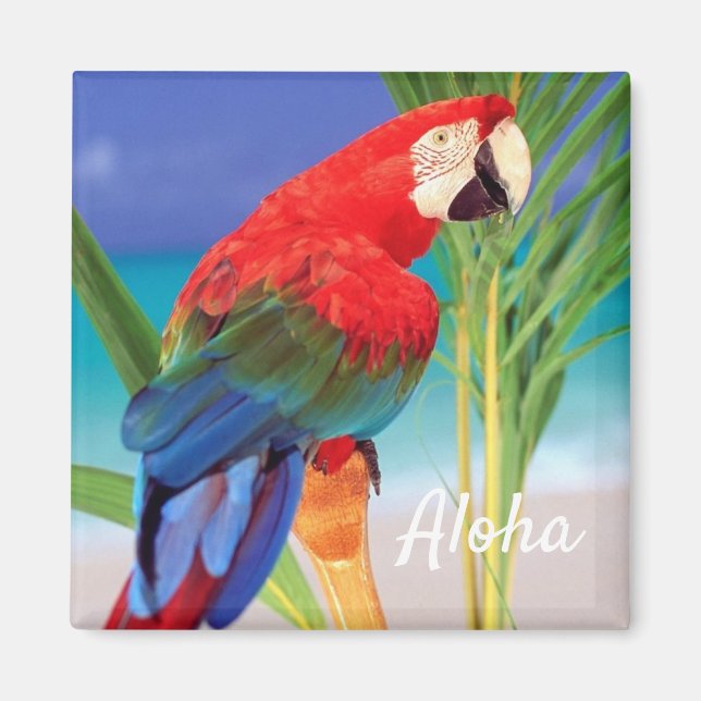 Aloha Bird Magnet (Framsidan)