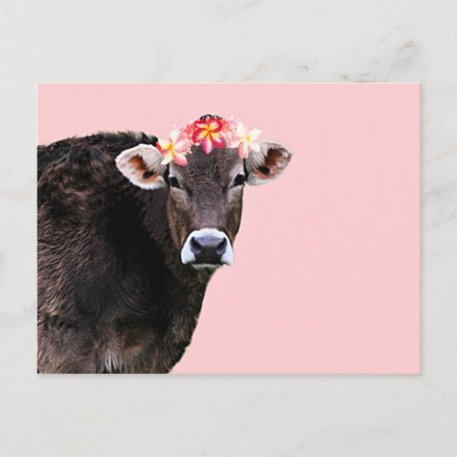 Aloha Cow, Lei, Rosa Summertime Roligt Vykort (Framsida)