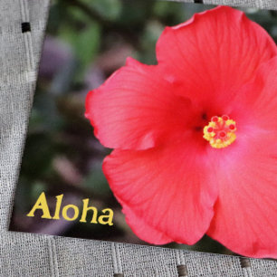 Aloha från Hawaii hawaiianskt semester Vykort