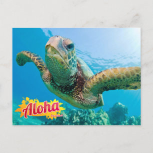 Aloha från Hawaii Honu Grön Havssköldpadda Postkor Vykort