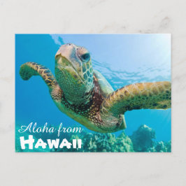 Aloha från Hawaii Honu Grönt Sea Turtle Vykort