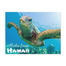 Aloha från Hawaii Honu Grönt Sea Turtle