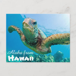 Aloha från Hawaii Honu Grönt Sea Turtle Vykort