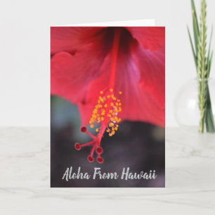 Aloha från Hawaii Kort