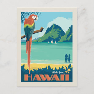 Aloha från Hawaii Parrot Vykort