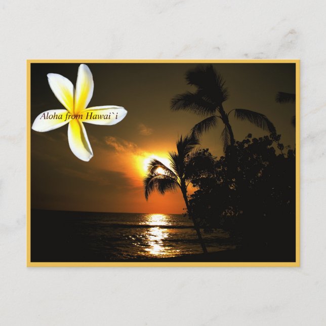 Aloha från Hawaii Plumeria Sunset Vykort (Framsida)