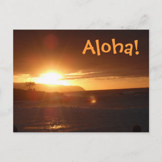 Aloha från Hawaii Postcard Vykort