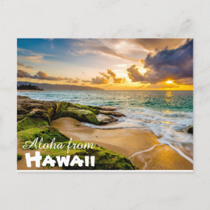 Aloha från Hawaii Postcard Vykort