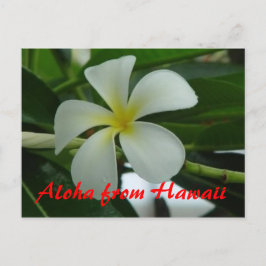 Aloha från Hawaii Vykort
