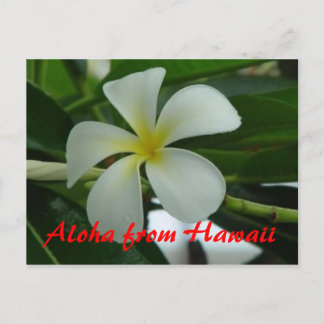 Aloha från Hawaii Vykort
