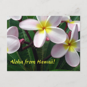 "Aloha från Hawaii" vykort
