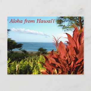 Aloha från Hawaii Vykort