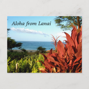 Aloha från Lanai Hawaii Vykort