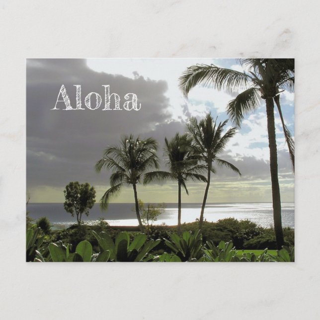 "ALOHA FRÅN MAUI" POSTCARD VYKORT (Framsida)