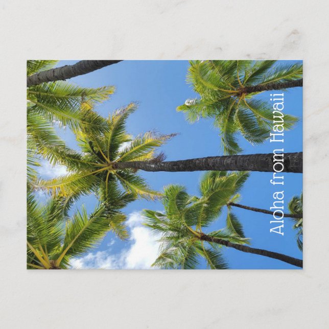 Aloha from Hawaii Vykort (Framsida)