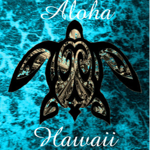 Aloha Hawaii Förkläde