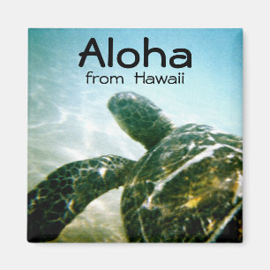 Aloha Hawaii havssköldpadda Magnet