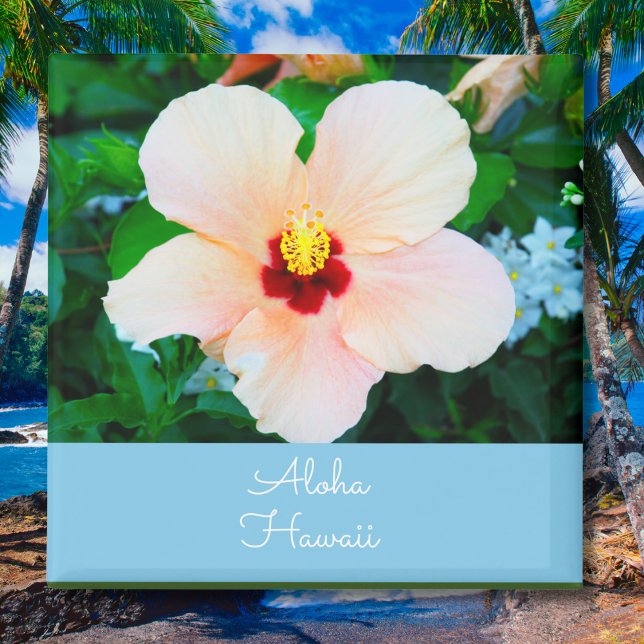 Aloha Hawaii Peach Färg State Flower Hibiscus Magnet (Skapare uppladdad)