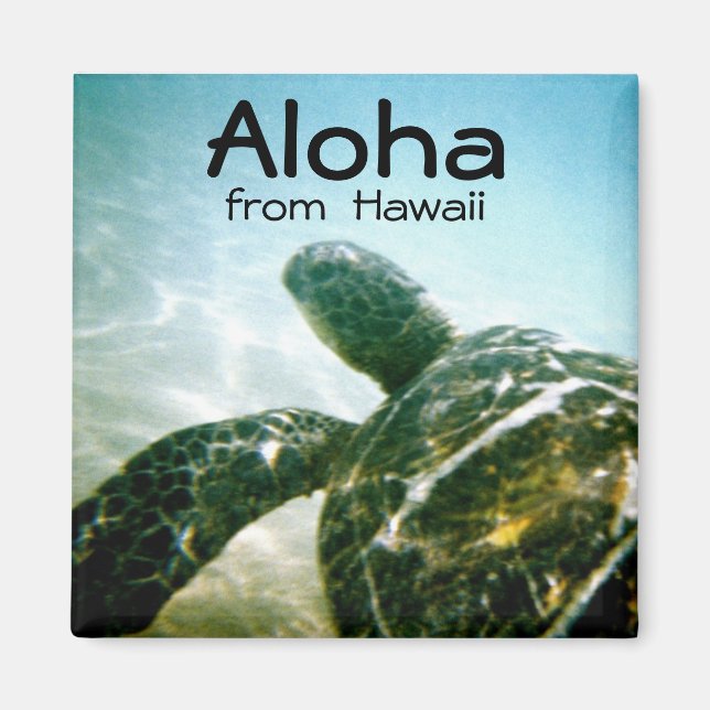 Aloha Hawaii Sea Turtle Magnet (Framsidan)