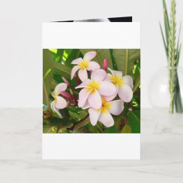 Aloha Hawaiian Frangipani Blommar Möhippa Inbjudan