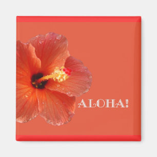 Aloha! Hibiskusmagnet Magnet