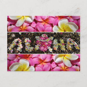 Aloha Honu Turtle Hawaii Plumeria Flower Paradise Vykort