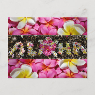 Aloha Honu Turtle Hawaii Plumeria Flower Paradise Vykort