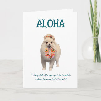 Aloha Joke Card with Pup Kort
