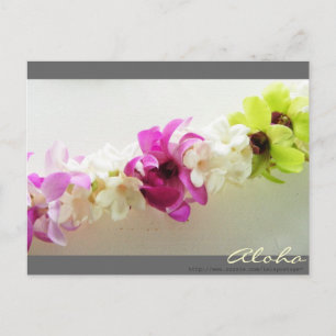 Aloha Lei Hawaii Postcard Vykort
