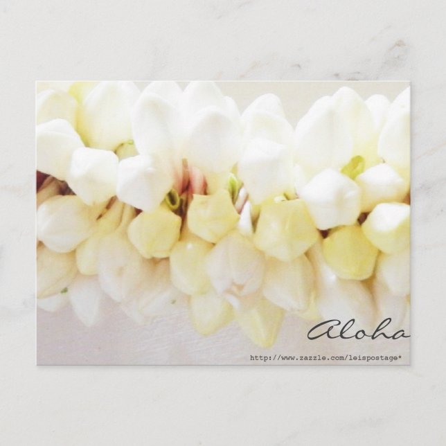 Aloha och Mahalo vycard Vykort (Framsida)