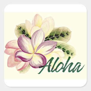 Aloha Plumeria Fyrkantigt Klistermärke