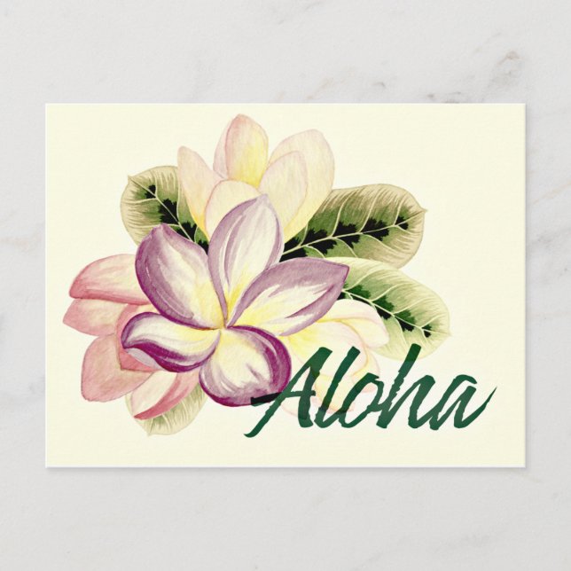 Aloha Plumeria Vykort (Framsida)