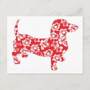 Aloha Red Doxies Vykort