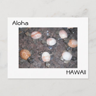 Aloha Vykort