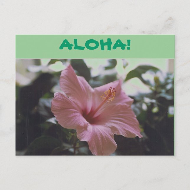 ALOHA! - vykort (Framsida)