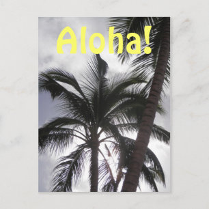 Aloha-vykort Vykort