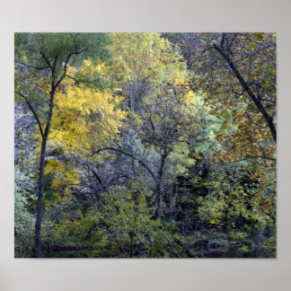 Along Brandywine River Poster